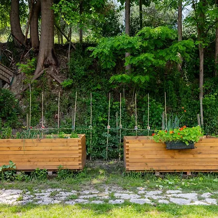 Bubamara - 3* Lazise